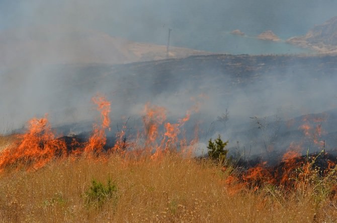 Adilcevaz’da Orman Yangını