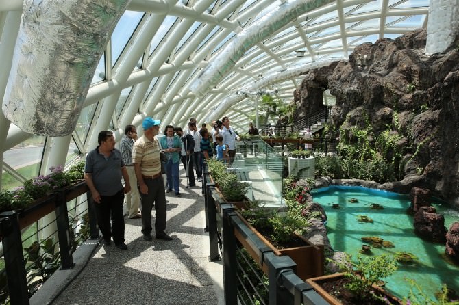 Tropikal Kelebek Bahçesi Bayramın 3. Günü Açık Olacak