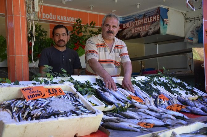Eskişehirli Ramazan Ayında Ucuz Balık Tüketti