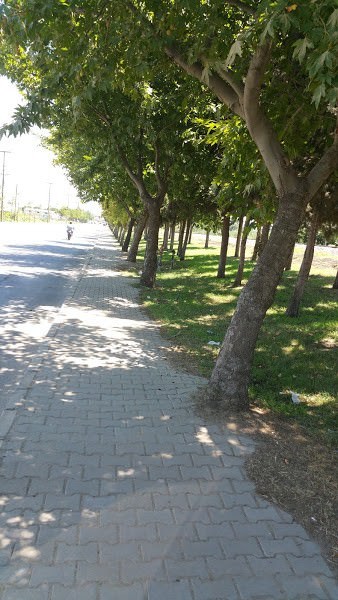 Alaşehir Park Ve Bahçeleriyle Daha Da Güzel