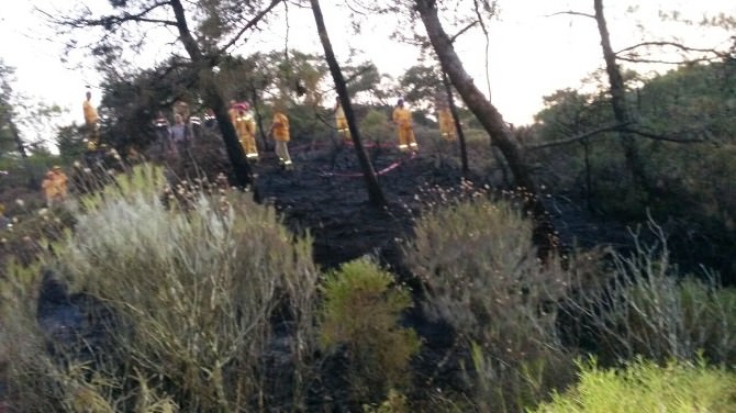 Milli Park Bölgesinde Çıkan Orman Yangını Büyümeden Söndürüldü