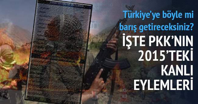 PKK’nın terör eylemleri 2015’te zirve yaptı