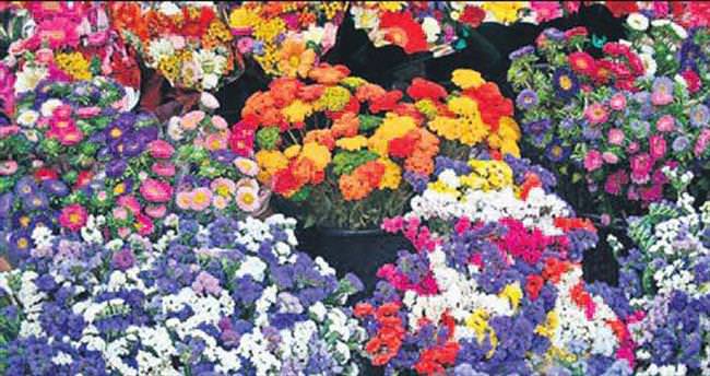 Adana, Hollanda’ya çiçek ihraç edecek