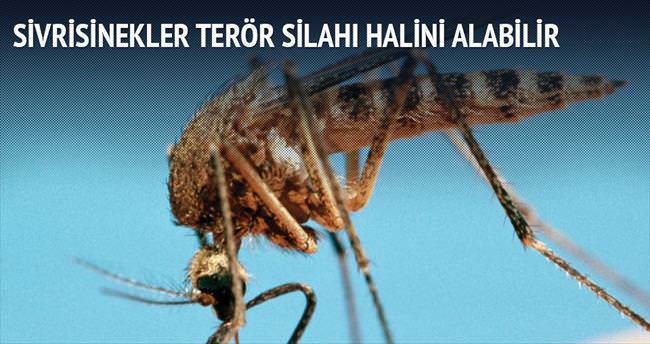 Sivrisinekler terör silahı halini alabilir