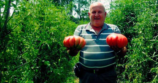 Bu domates tam 2 kilo