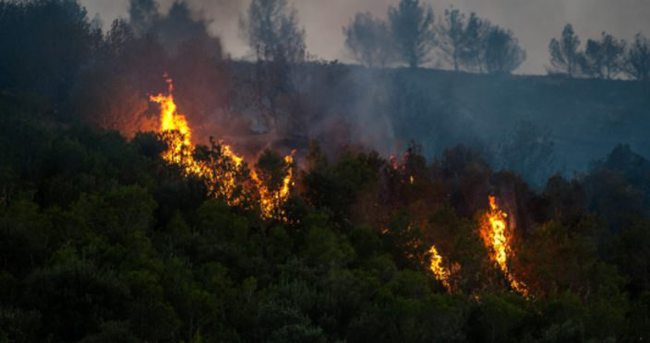 ABD’de orman yangını durdurulamıyor