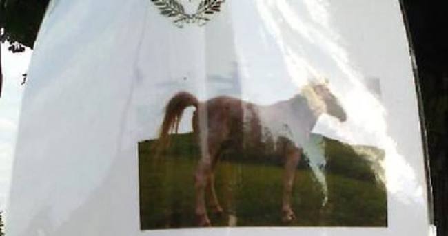 İtalya’da atlara don giydirmeyene 500 euro ceza