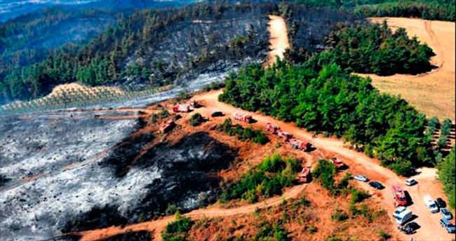 Bursa’da 50 hektar orman kül oldu
