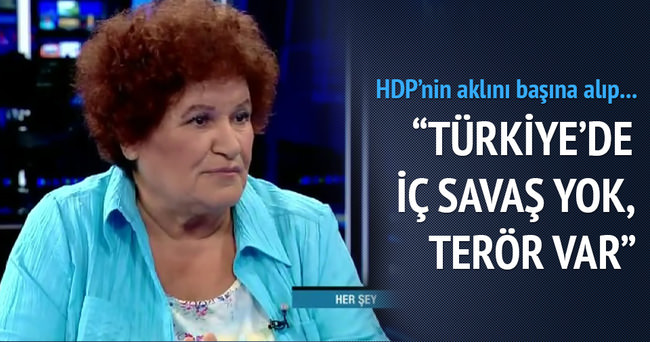 Selda Bağcan: Türkiye’de iç savaş yok terör var