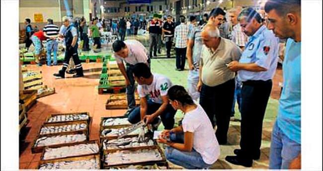 İzmir’de 2 bin kilo balığa el konuldu