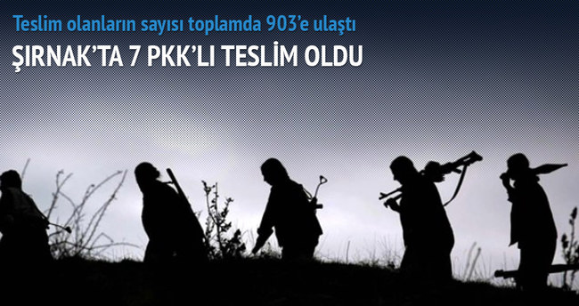 Şırnak’ta 7 PKK’lı teslim oldu