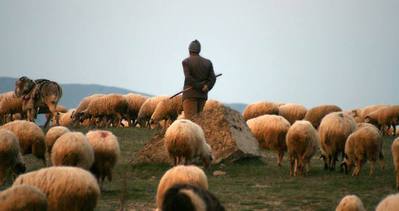 PKK’dan çobanlara tuzak!