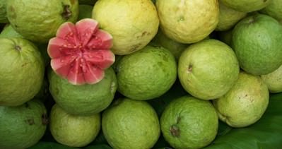 ’Guava’ kansere karşı koruyor
