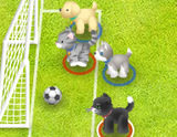 Kedi Köpek Futbolu