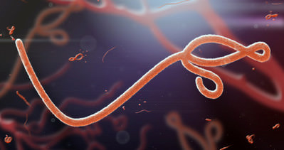 Ebola virüsü spermde 9 ay yaşayabiliyor