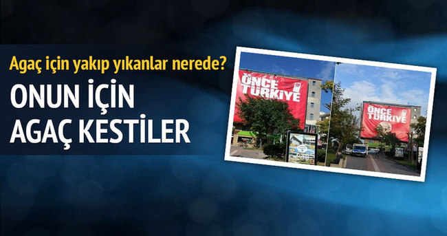 Çanakkale’de Kılıçdaroğlu’nun afişi için ağaç kesildi