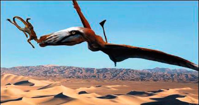 Devasa uçan sürüngen fosili ABD’de bulundu