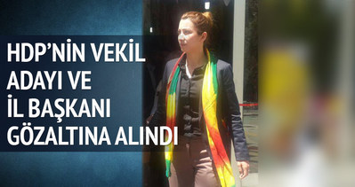 HDP milletvekili adayı ve il başkanı gözaltına alındı