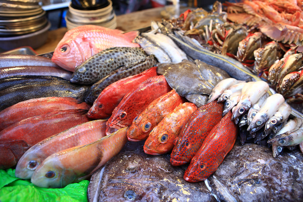 Свежая рыба купить недорого. Рыба в ассортименте. Морская рыба и морепродукты. Рыба съедобная. Морская рыба на прилавке.
