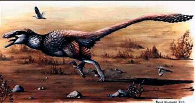 Orak tırnaklı yeni bir dinozor türü bulundu
