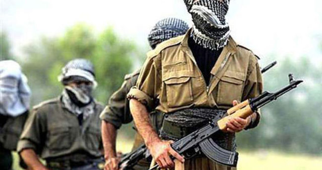 Şırnak’ta 10 terörist teslim oldu