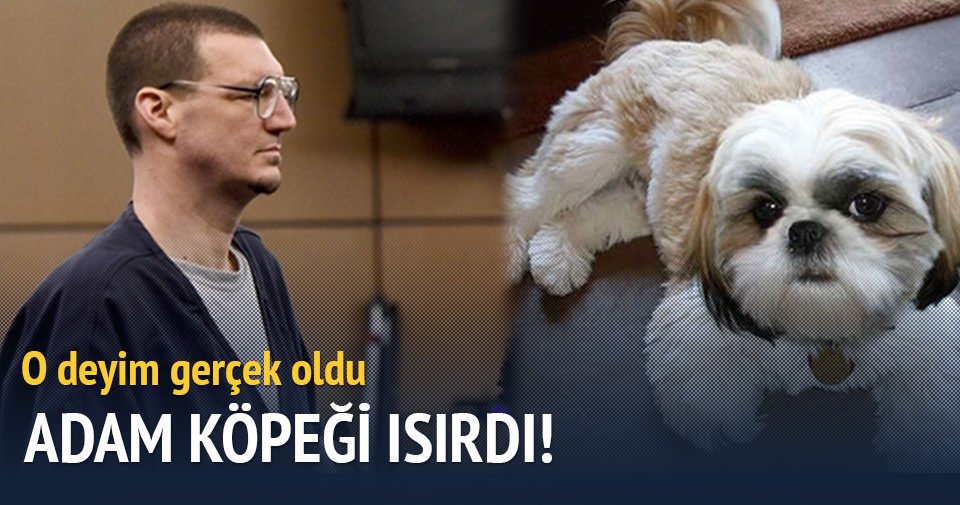 Adam köpeği ısırdı, 1 yıl hapis cezasına çarptırıldı Son Dakika Haberler