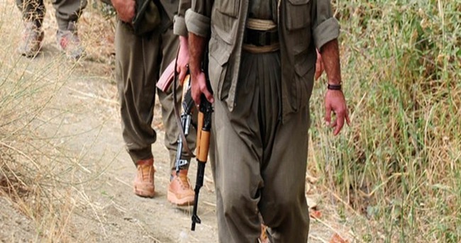 Şırnak’ta 10 PKK’lı teslim oldu