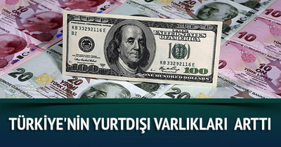 Türkiye’nin yurtdışı varlıkları Eylül’de yüzde 2,4 arttı