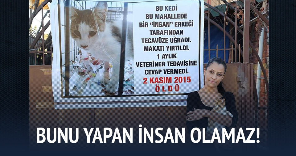 Mersin'de kediye tecavüz Son Dakika Haberler