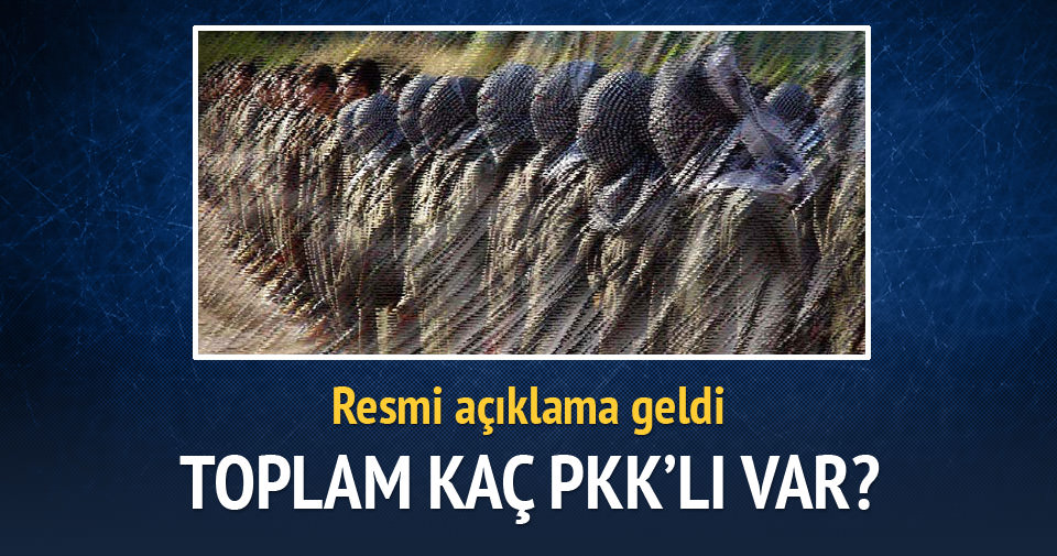 İşte toplam PKK’lı sayısı