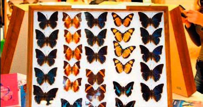 Kelebek bahçesi Ankamall’de