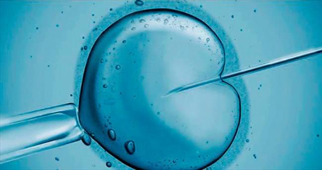 Tüp bebek yöntemi ile doğru embriyo seçimi