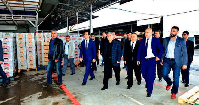 Türkiye’nin önemli tarım üretim merkezi: Çukurova