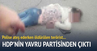 Öldürülen terörist HDP’nin yavru partisinden