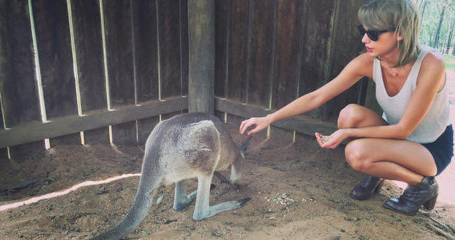 Taylor Swift kanguruyla selfie çekti