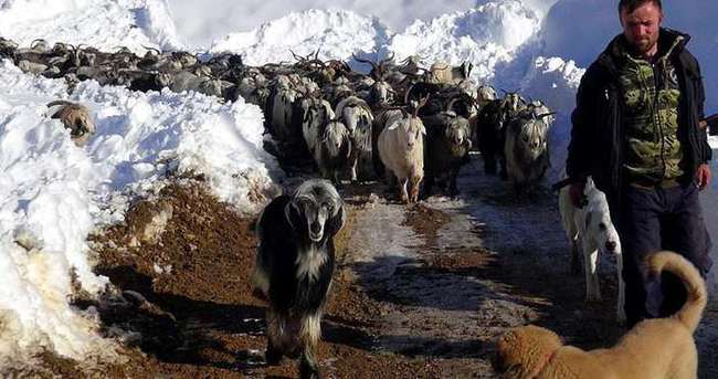 Yaylada mahsur kalan çobanlar 5 gün sonra kurtarıldı