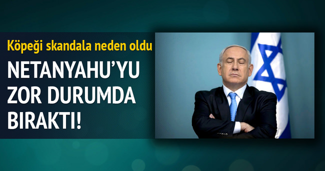 Netanyahu’nun köpeği konuklarını ısırdı