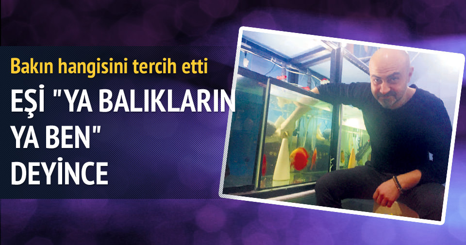 Balıkları için ayrı ev kiraladı Son Dakika Haberler