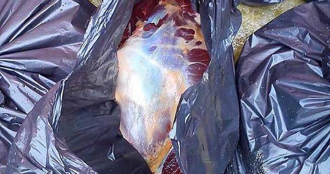 Bursa’da 100 kilo at eti ele geçirildi