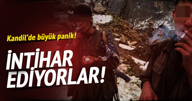 PKK panikte!