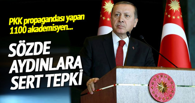 Erdoğan’dan sözde aydınlara sert tepki
