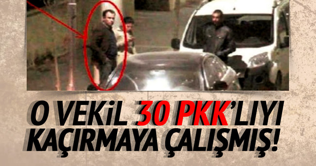HDP’li vekil PKK’lıları kaçırmaya çalıştı