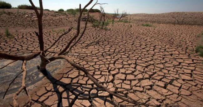 Zimbabve’de kuraklık olağanüstü hal ilan ettirdi