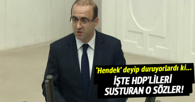 Taha Özhan’dan HDP’lileri susturan konuşma