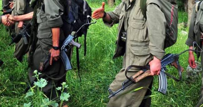 Almanya’da aranan PKK’nın üst düzey yöneticisi tutuklandı