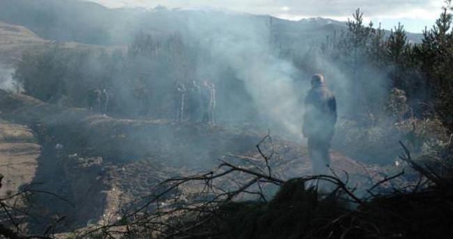 Türkiye-Gürcistan sınırında yangın