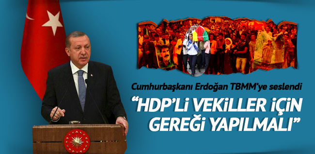 Erdoğan: Meclis gereğini yapmalıdır