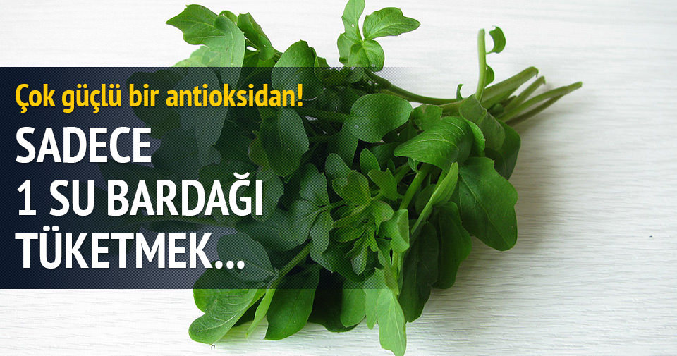 Terenin faydaları Sağlık Haberleri