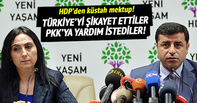 HDP, BM ve AP’ye Türkiye’yi şikayet etti