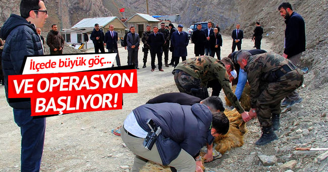 Yüksekova’da PKK’lılara karşı operasyon başlıyor!